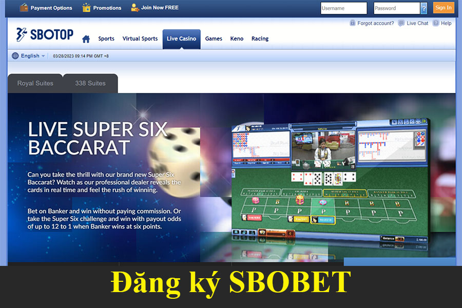 Hướng dẫn đăng ký tài khoản Sbobet 70205550.com